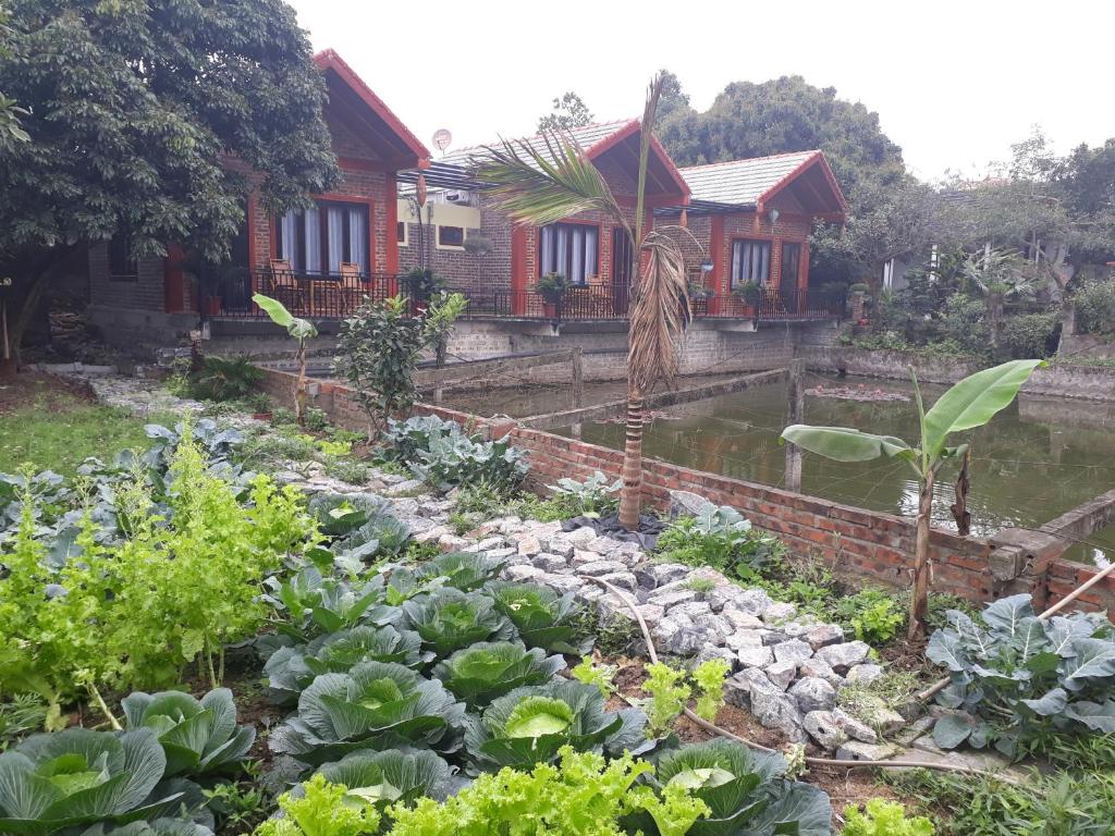 Chez Hiep Tam Coc Homestay photo
