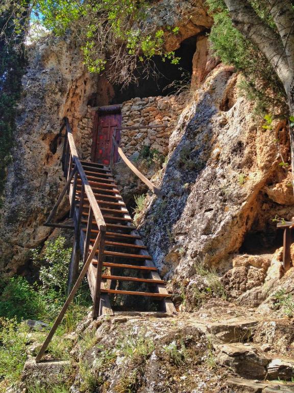 アクティビティ