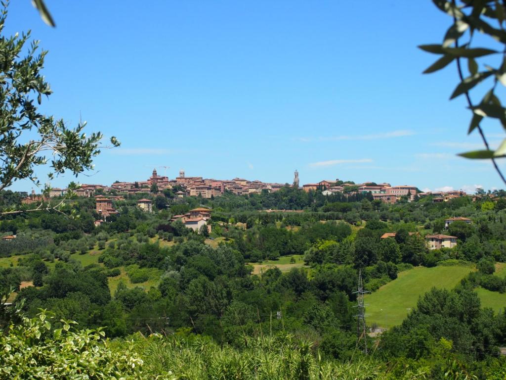 Nell'Antica Torre di Fronte a Siena - 1