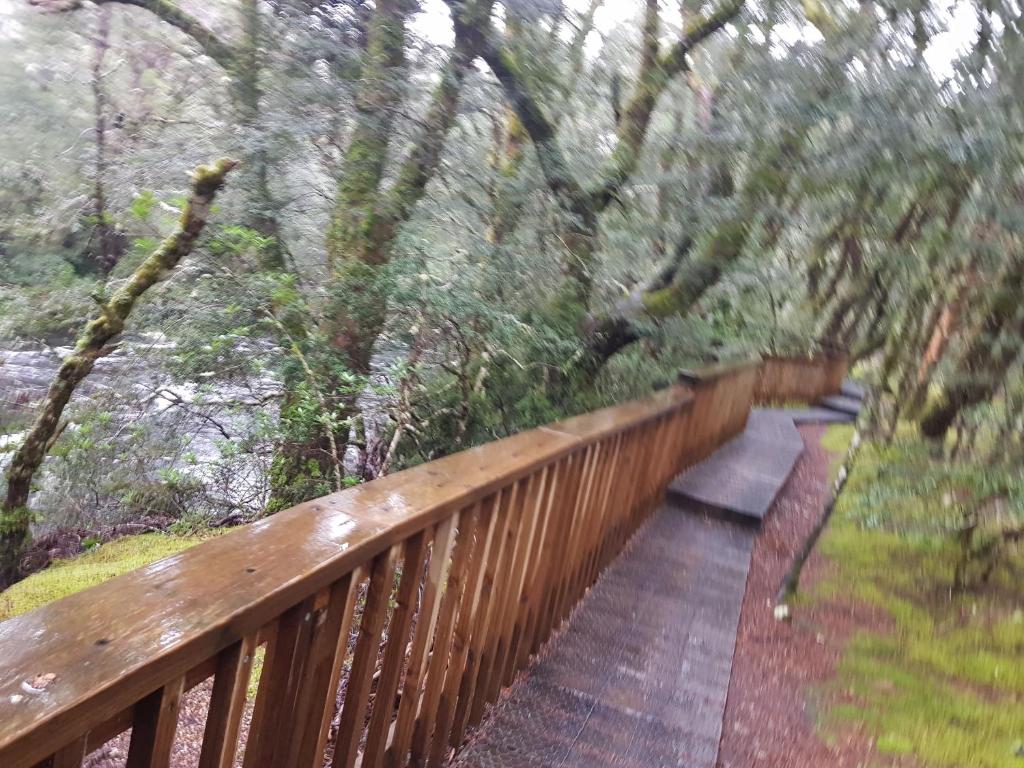 スポーツ/アクティビティ