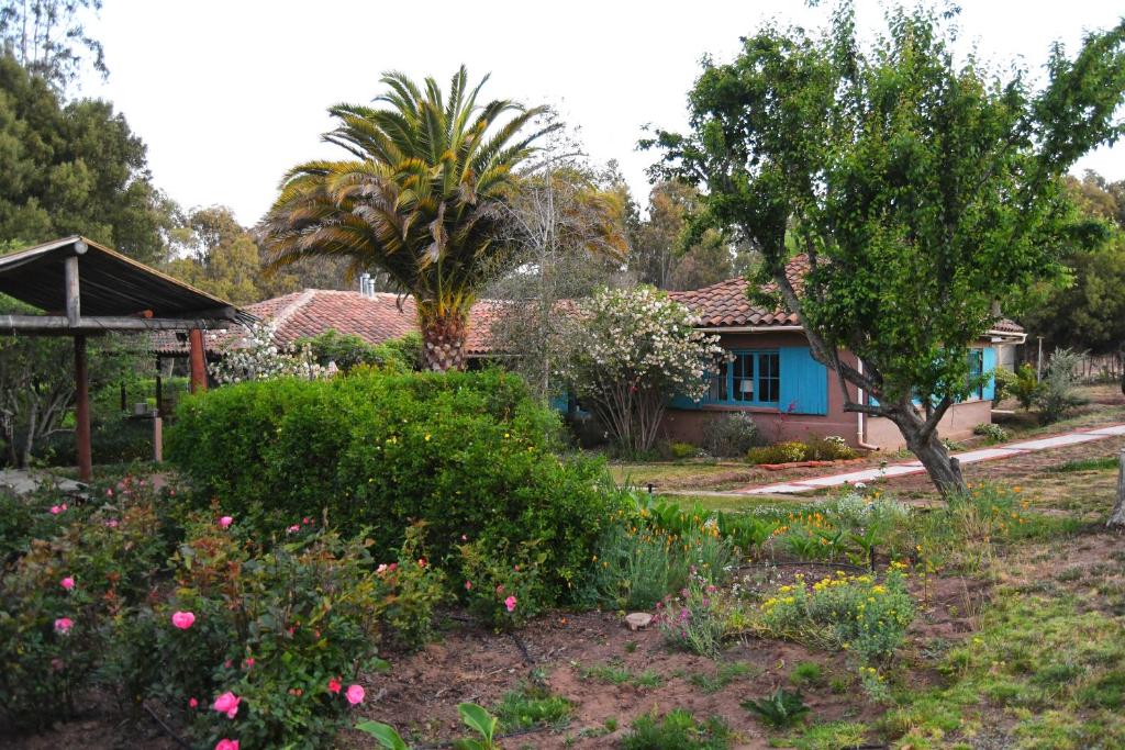 Casa Azul de San Pancho - 5