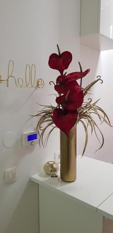Niva rooms & studio apartment photo