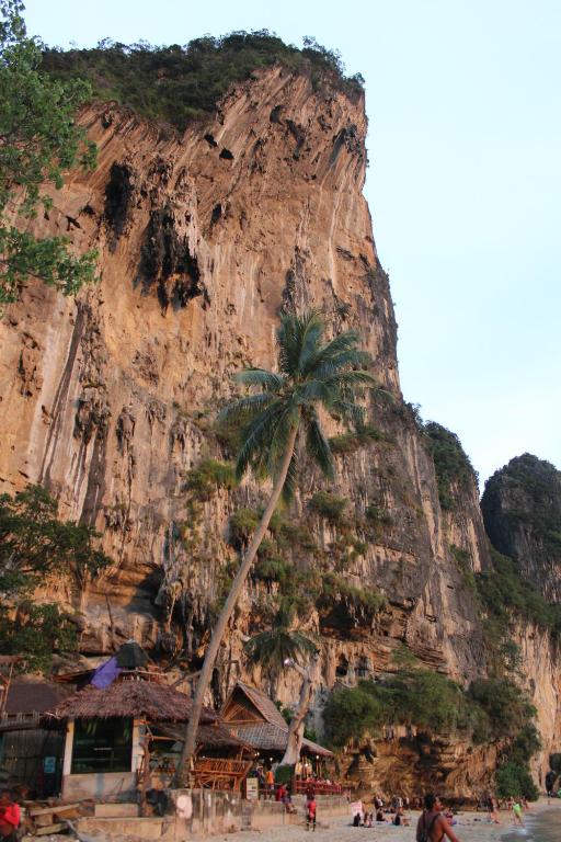 Surrounding environment