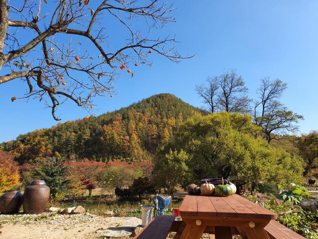별동산 달빛아래