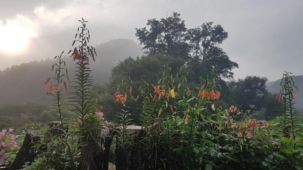별동산 달빛아래