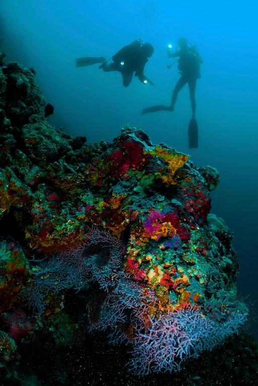 Sports and activities