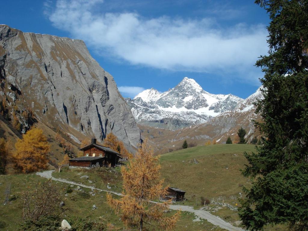 Lucknerhof - 5