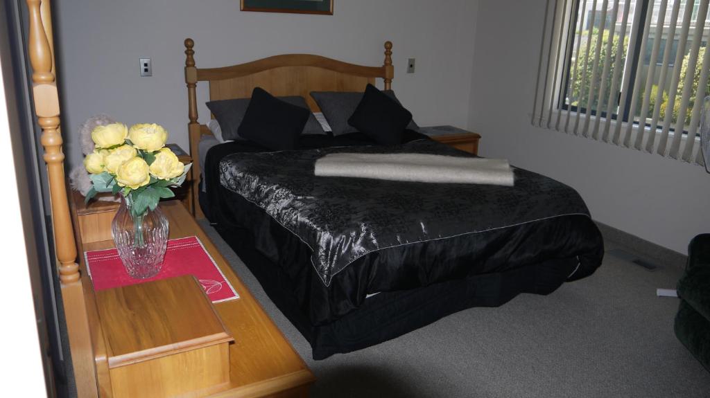 379 Kapiti photo