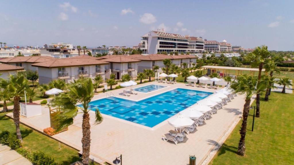 スイミングプール