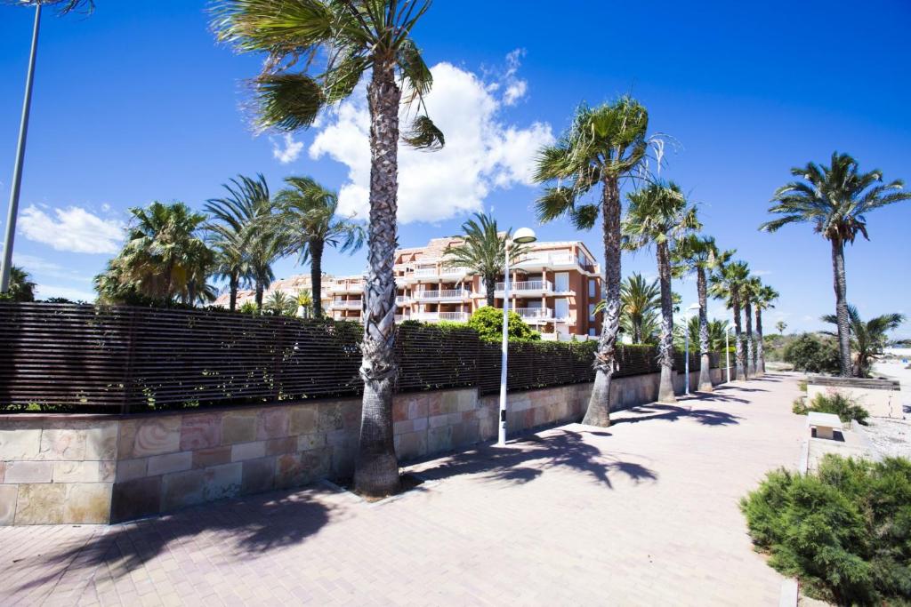 Estrella de Mar Denia - 3