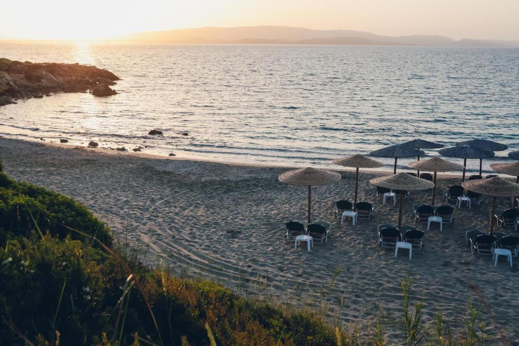 Beach, Dendrolivano in Kefalonia