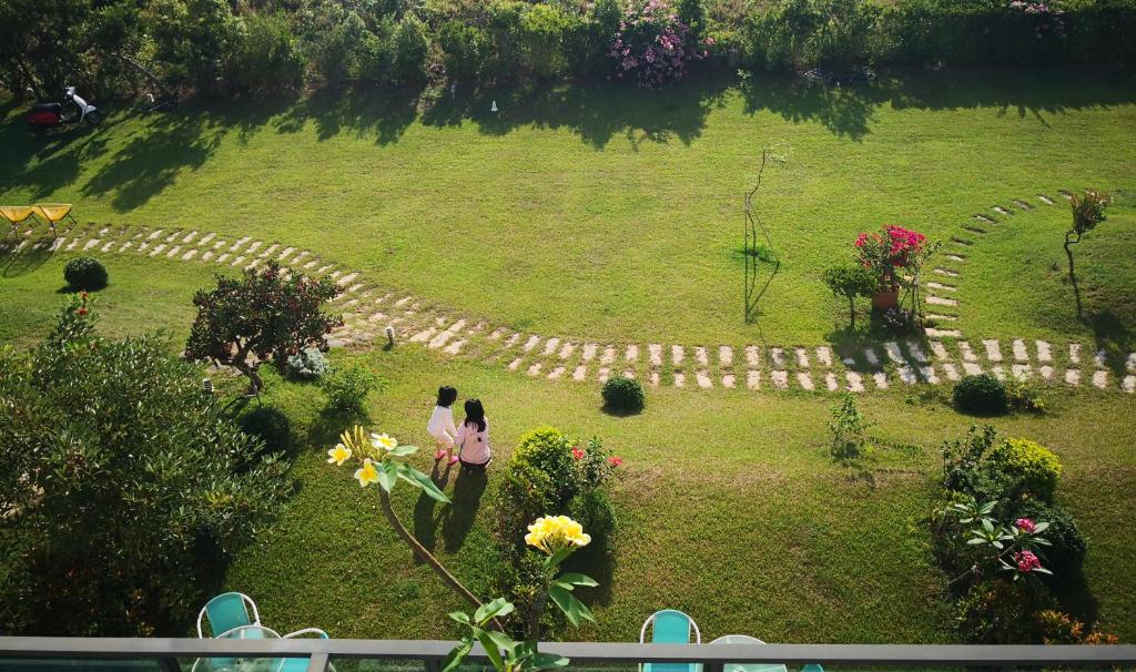 外觀