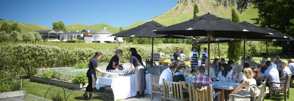 เควสนาปิเออร์โฮเต็ล (Quest Napier Hotel)