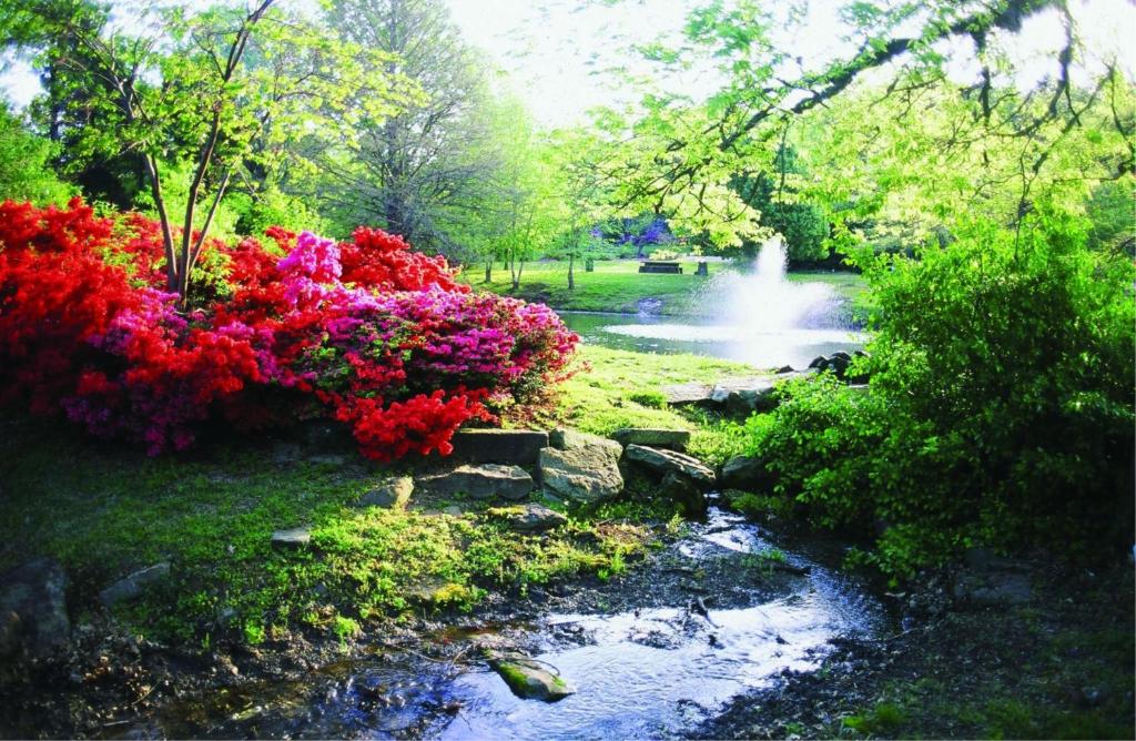 周辺観光スポット