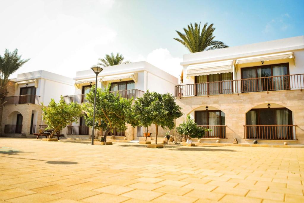 Golden Palms Guest House &amp; Cafe — Hotel in Famagusta