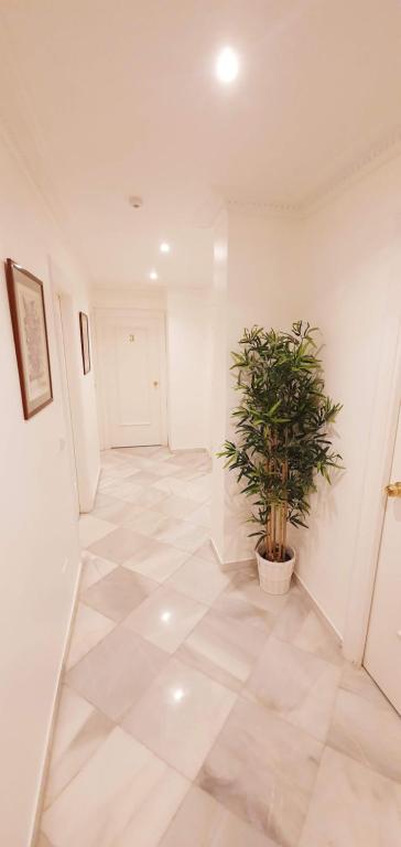 Fan Rooms Duquesa photo
