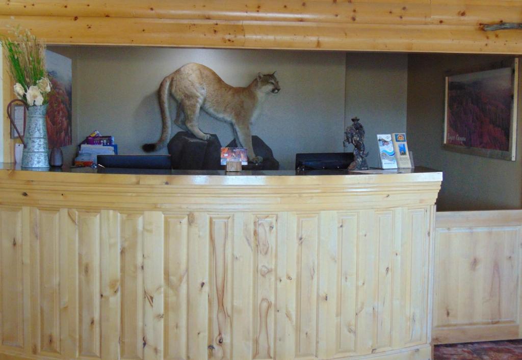 Bryce Canyon Resort photo