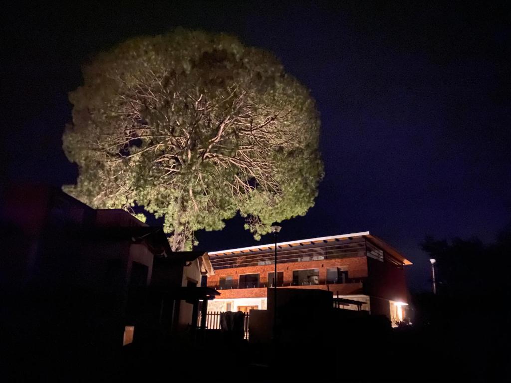 Cabaña Quinta Gaes Spa - 4