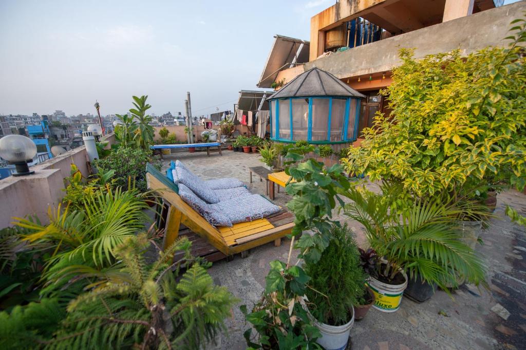 Garden, Hotel Pomelo House in Kathmandu