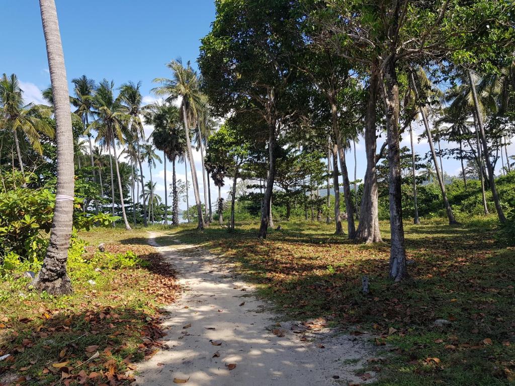 Sport és szabadidő