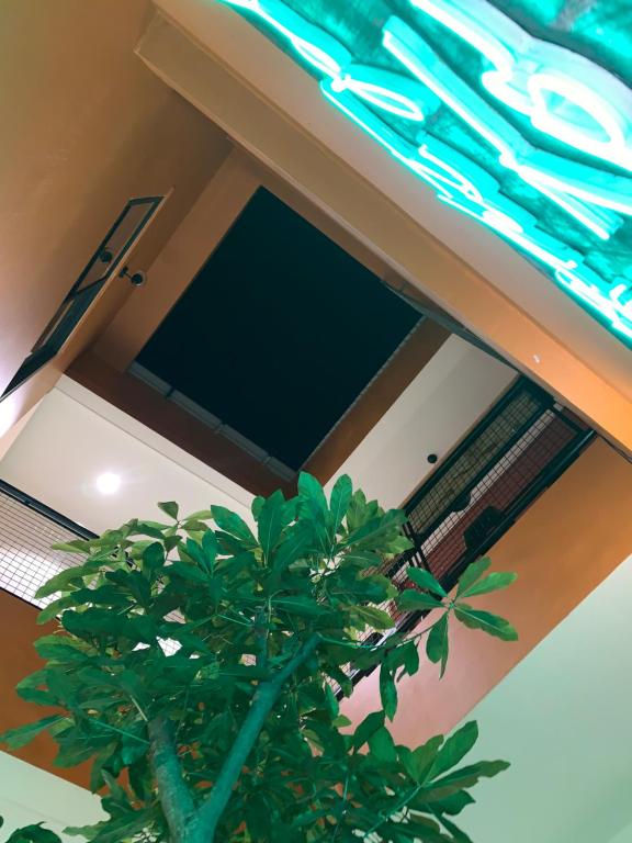 Chi Hieu Homestay photo