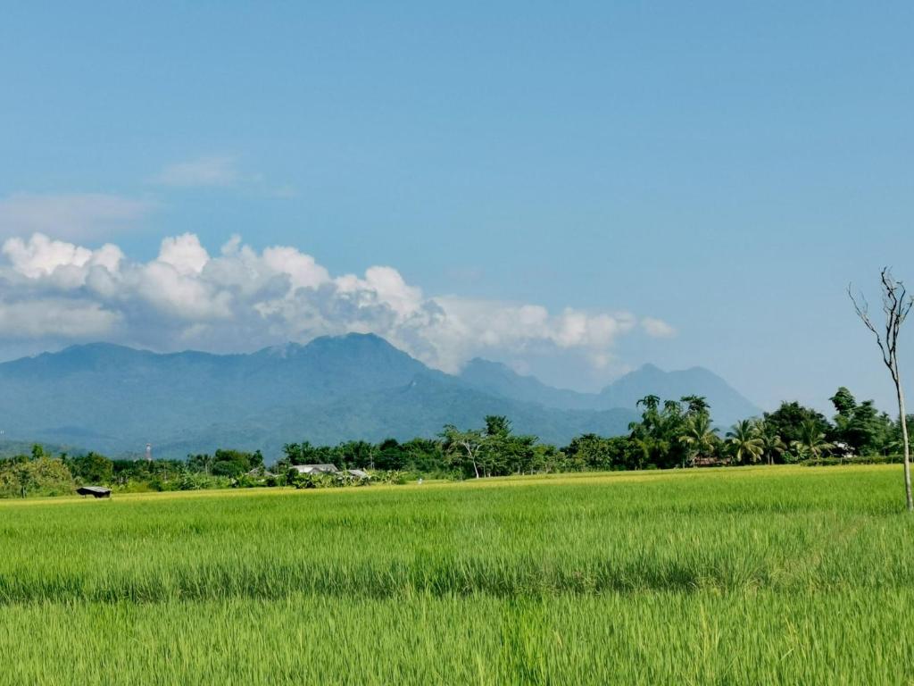 Ban Din Resort Chiang Rai photo