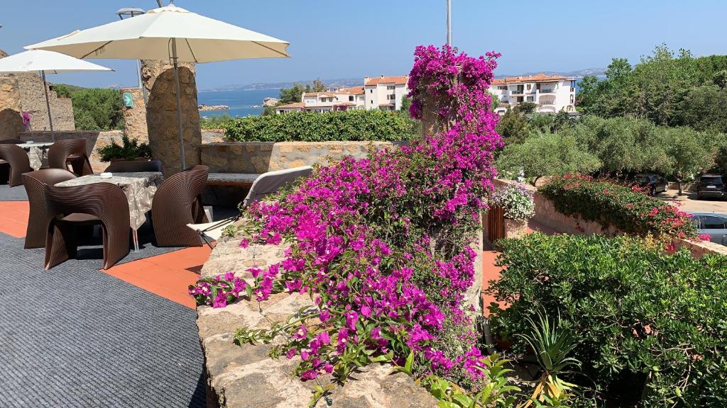 Hotel Olimpia, Baja Sardinia 2024 Updated Prices, Deals