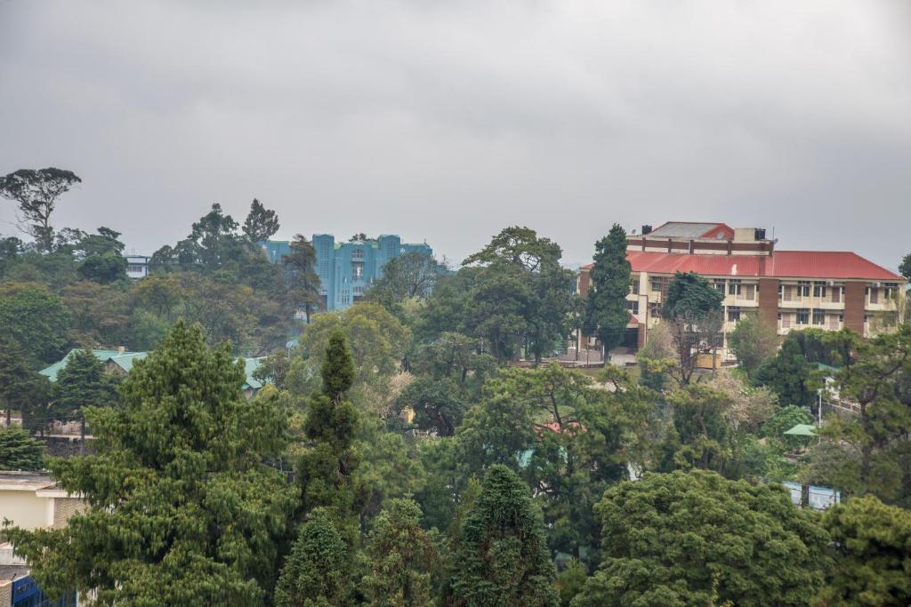 Surrounding environment