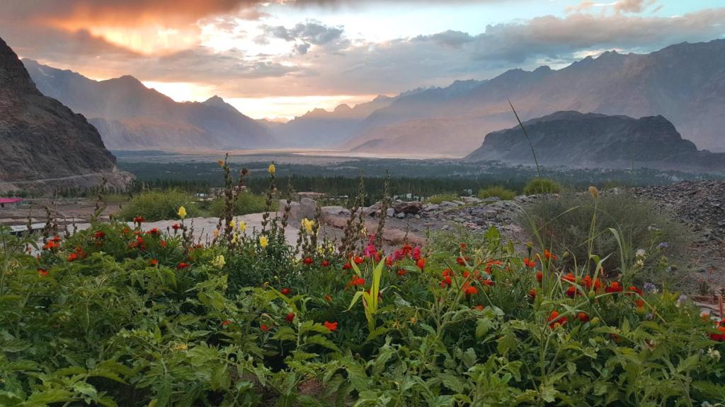 Surrounding environment