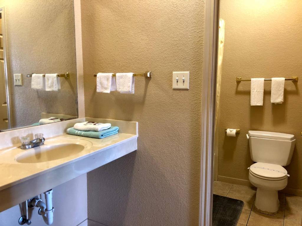 Lone Star Inn & Suites photo