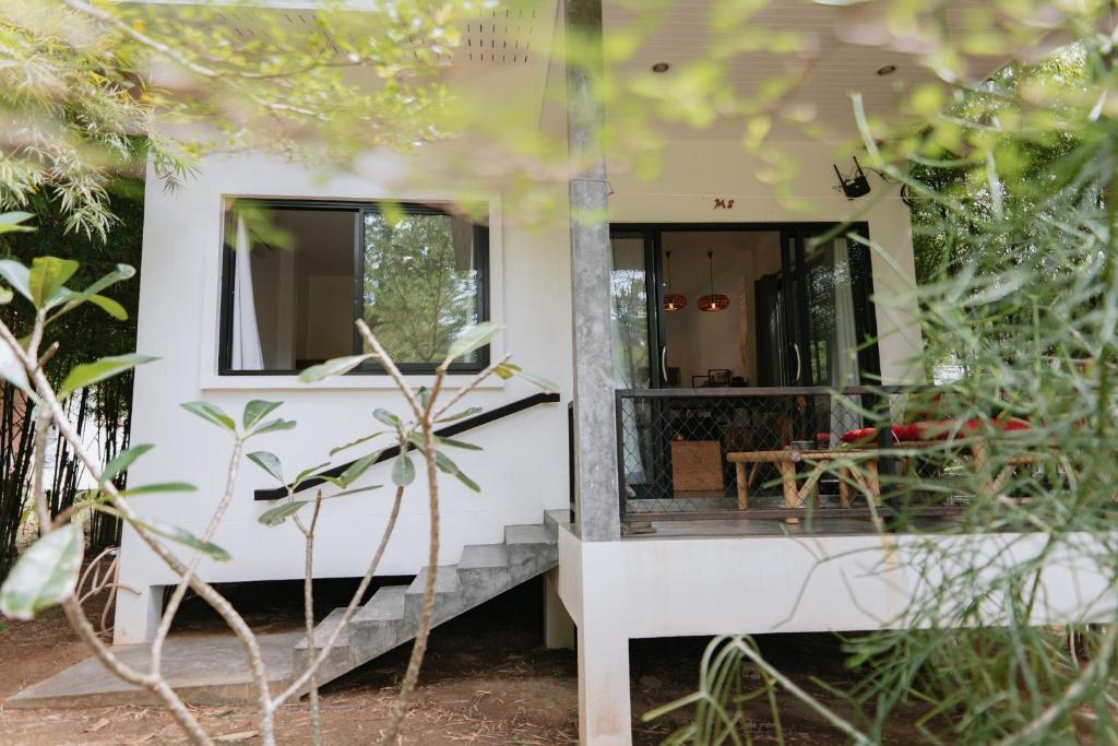 DG House photo
