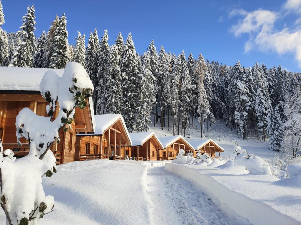Alpenchalets Mair - 2