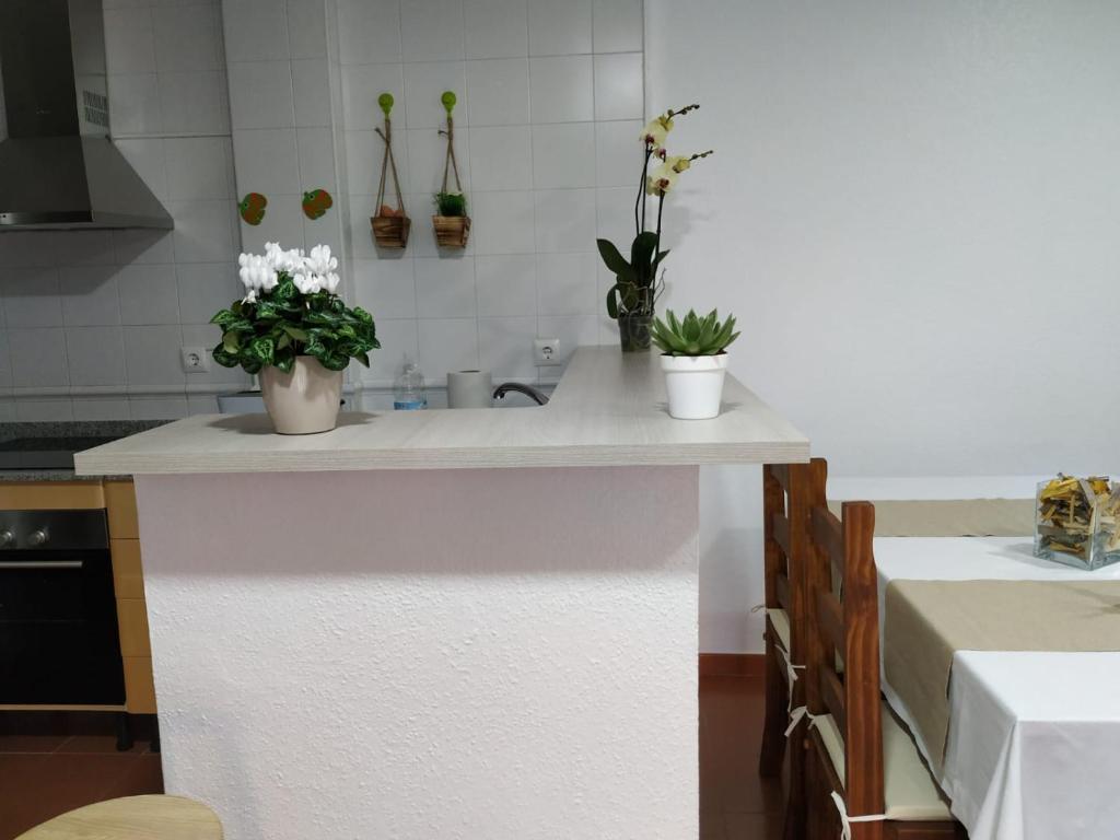 APARTAMENTO VISTA MAR LA TORTUGA - 3