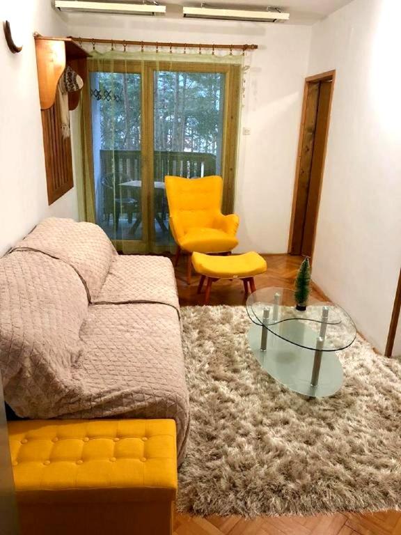 Apartman Pine Forest - 3