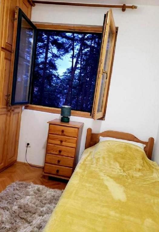 Apartman Pine Forest - 5