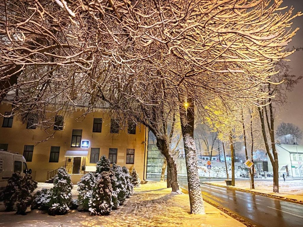 Apartamenti DVINSKA photo