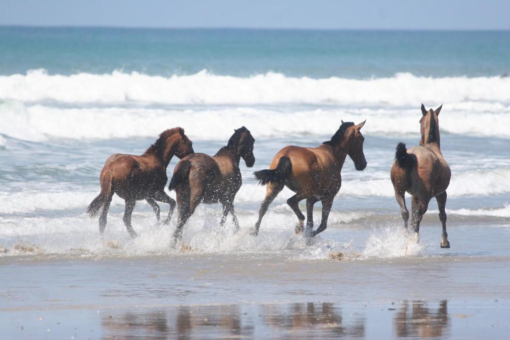 Surrounding environment