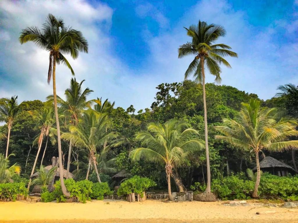 Rimba Resort - Dive Centre & Spa photo