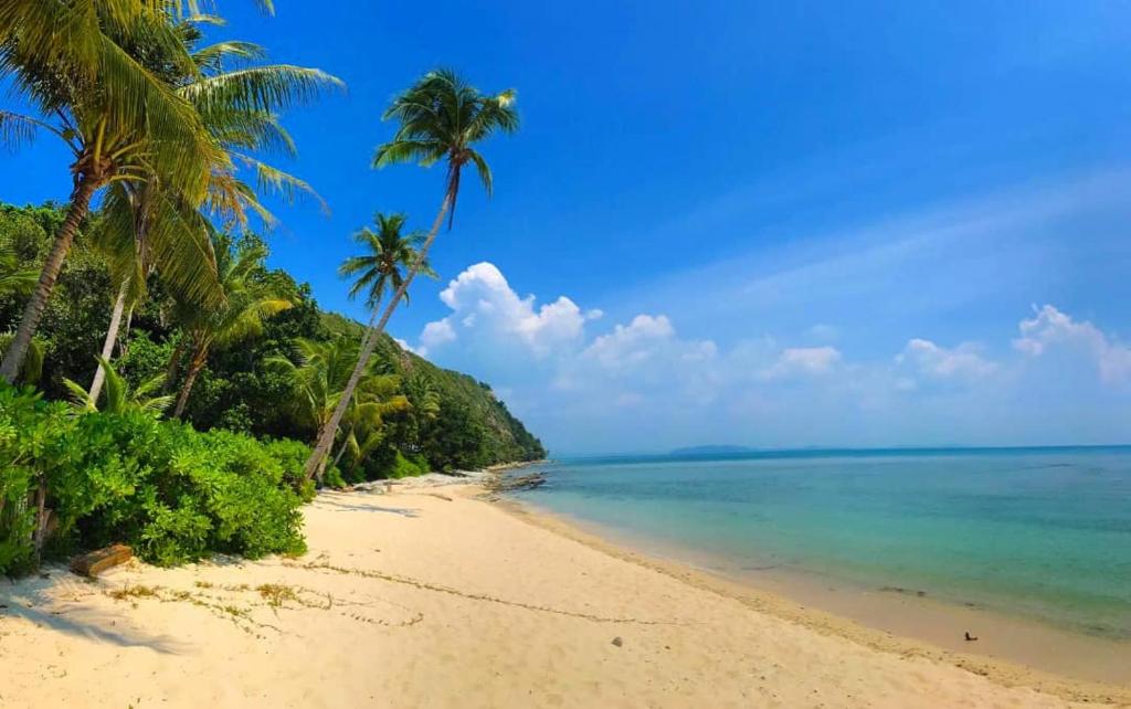 Rimba Resort - Dive Centre & Spa photo
