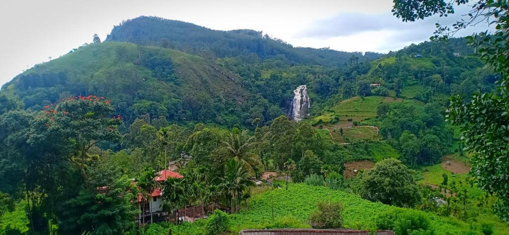 Sen - Rose Ella, Ella