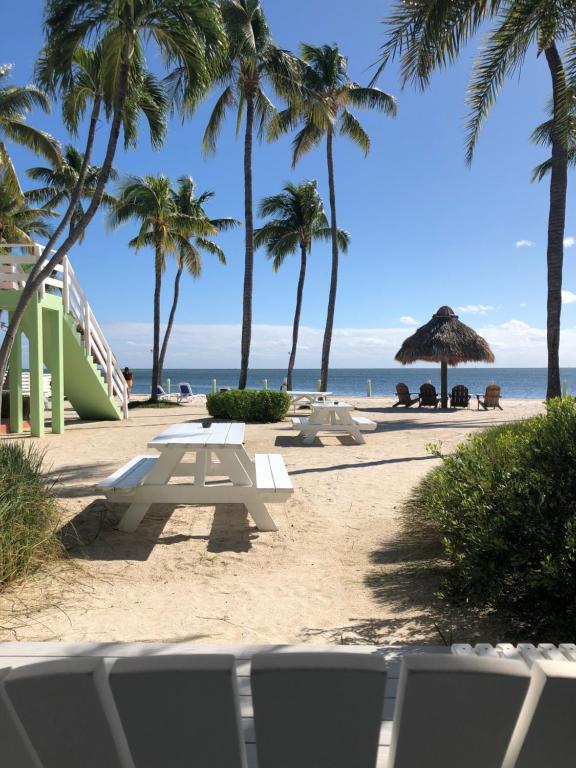 Drop Anchor Resort & Marina photo