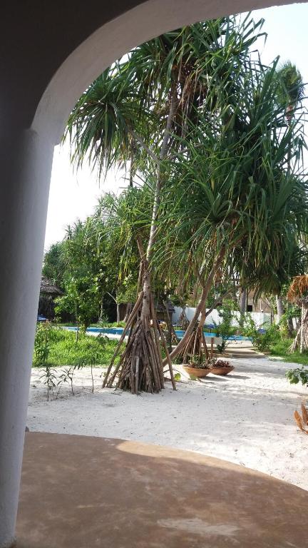Laguna Palace Zanzibar photo