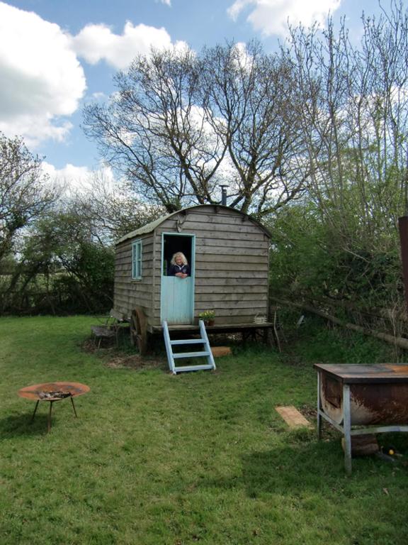 Mollies Hut, Trudoxhill photo 7