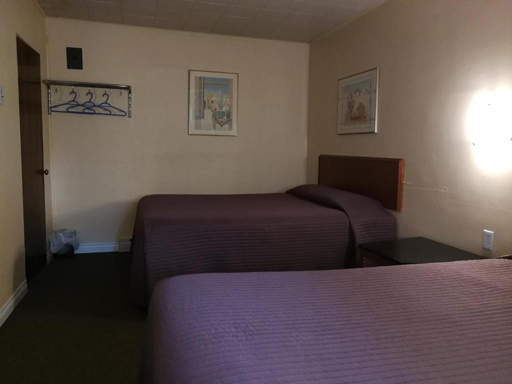 Star Motel photo