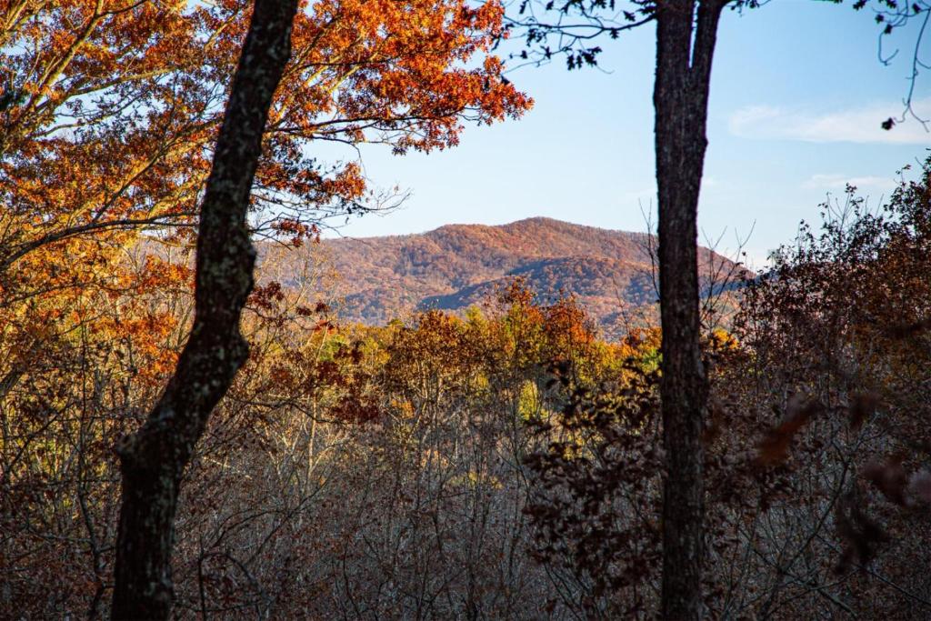 Blue Ridge Retreat Main image 1