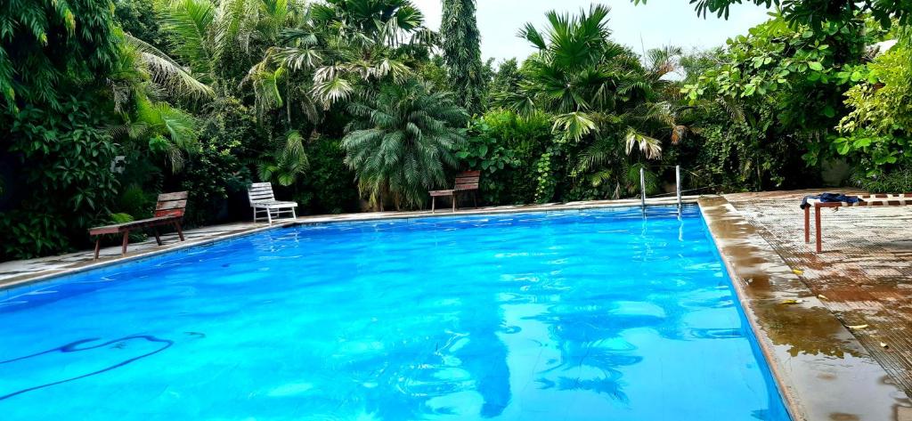 Green Park Resort photo