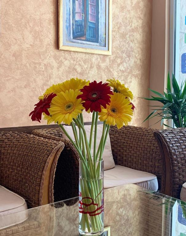 Hotel WGrand — Restaurant & bars in Petrovac, Budva Municipality