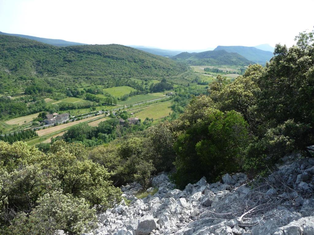 スポーツ/アクティビティ