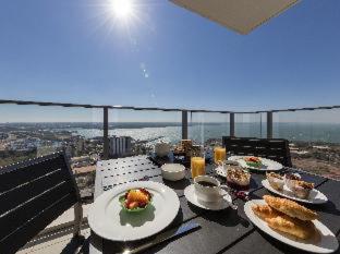 다윈 시티의 야경과 항구 전망