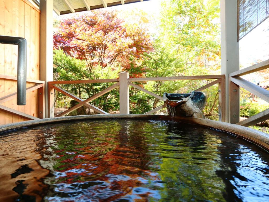 Hot spring bath